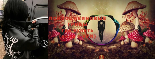 экстази Осташков