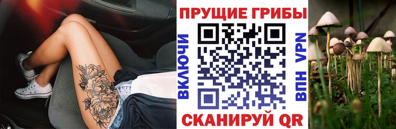 Псилоцибиновые грибы Magic Shrooms  где найти наркотики  Ряжск 